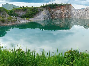 柳川熱帯魚は福岡県柳川市にある熱帯魚店ですのイメージ